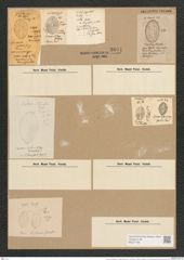 Cocconeis scutelllum var. distans (Greg.) Grun. (de-Toni-Nr.: Genus 40, Species 1812) Zeichnungen Sammlung Grunow Nr. 3601 (NHMW-BOT-W0371196)